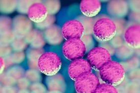 avrupayi-korkutan-yeni-mrsa-turu-cocuklarda-artis-gosteriyor-mayapFkv.jpg