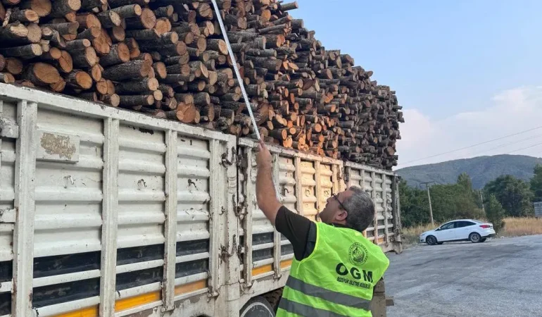Bilecik Pazaryeri’nde orman emvali denetimi