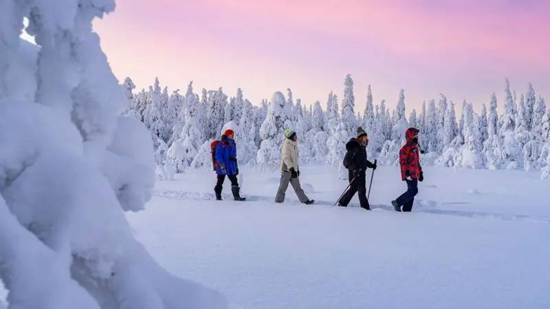 İçsel dayanıklılık ve sisu kavramı