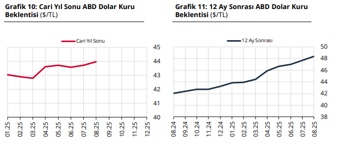 Cari ve 12 ay sonrası döviz kuru beklentileri