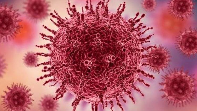 haziran-ayinda-ortaya-cikan-yeni-h3n2-gribi-kureselde-hizla-yayiliyor-ulkelerdeki-gelismeler-ve-uzman-XQzWbiHZ.jpg