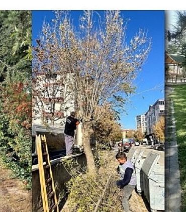 kahramankazanda-park-ve-bahcelerde-yenilenme-hareketi-cevre-ve-guvenlik-icin-budama-ve-onarim-atolyesi-l5kgVPef.jpg