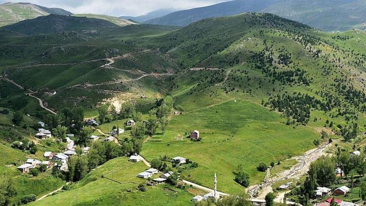 Gümüşhane Zirvesi: Uzun Ömür Sırrı Karadeniz’in Gölgesinde, Büyükşehir Stresi Ömrü Kısaltıyor