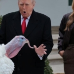 trump-sukran-gununde-hindilerden-affi-esprili-bicimde-duyurdu-waddle-ve-gobble-kuzey-karolinada-yasayacak-QFCqPDFs.jpg