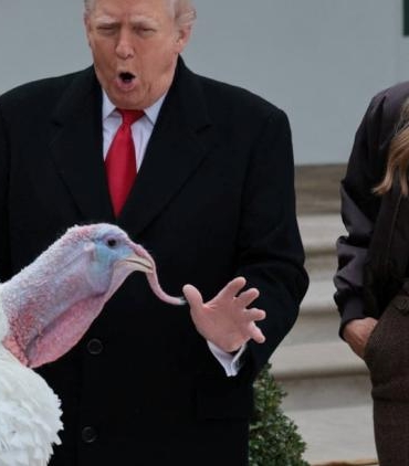 trump-sukran-gununde-hindilerden-affi-esprili-bicimde-duyurdu-waddle-ve-gobble-kuzey-karolinada-yasayacak-QFCqPDFs.jpg