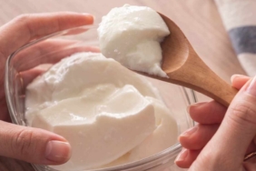 Bağırsak Sağlığı İçin En Faydalı Yoğurt Türü Araştırmalarla Belirlendi