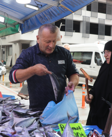 Rize'de Palamut Bolluğu Balık Tezgahlarındaki Fiyatları 50 Liraya Kadar Düşürdü