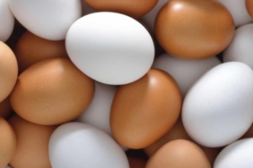 Yumurtanın Besin Değerini Koruyan Pişirme Yöntemleri ve Kaçınılması Gereken Hatalar