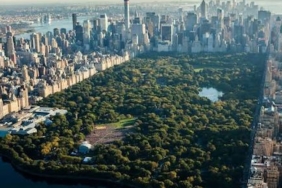 New York Central Park'ta Cinsel Saldırıya Uğrayan Kadın Hastaneye Kaldırıldı